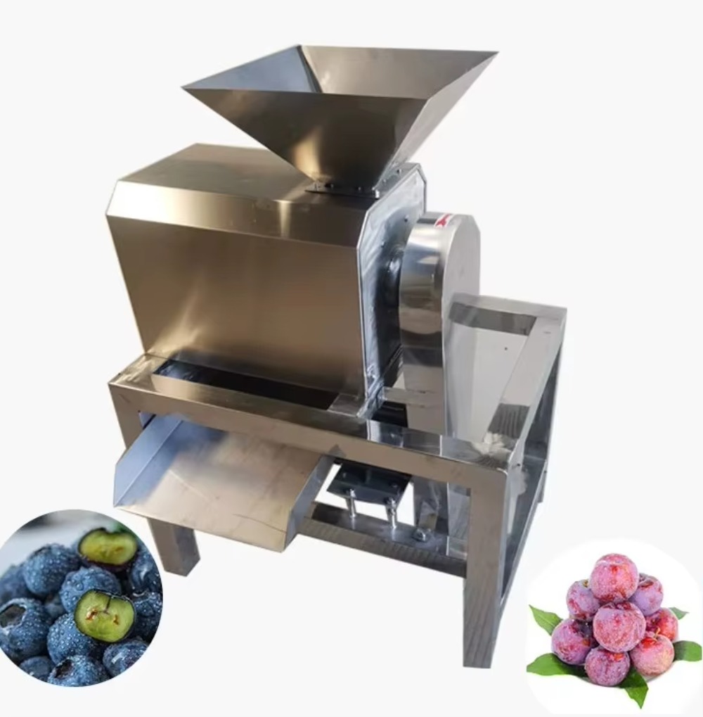 Juicer Industrial Commercial E - đánh giá và giá Juice Extractor Commercial